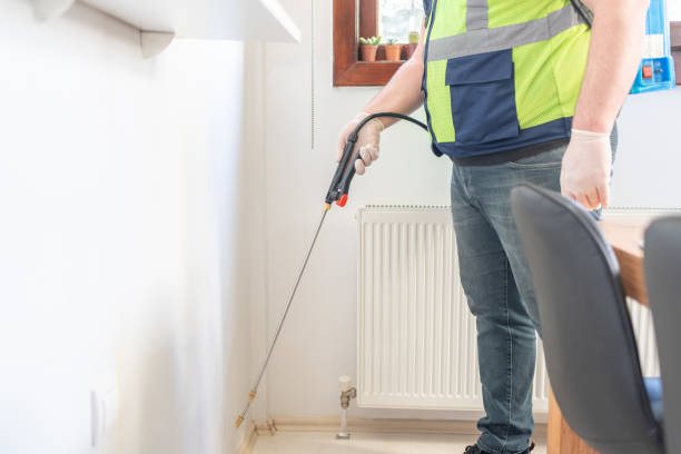 Reliable Pine Mountain Clu, CA Pest Control Solutions