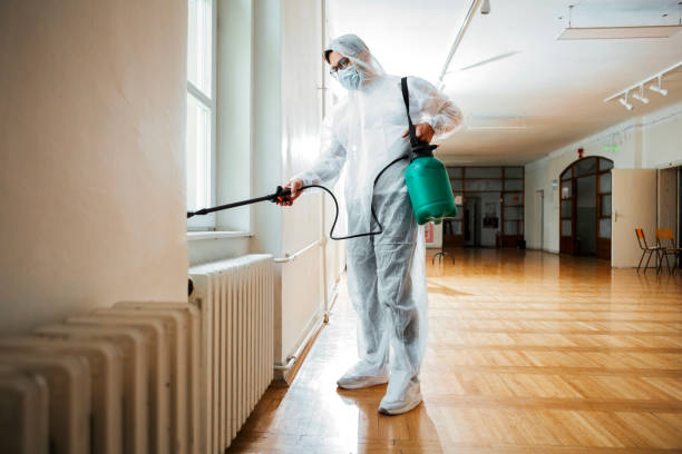 Best Rat Extermination Near Me  in Pine Mountain Clu, CA